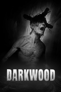 Darkwood / GOG