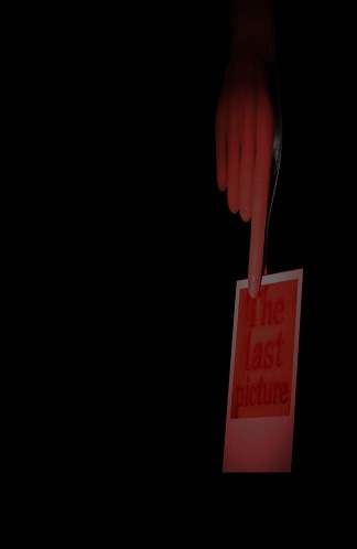 The Last Picture (Rus/Eng) (2025)