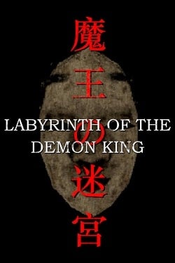 Labyrinth Of The Demon King / Portable