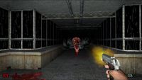 Dementium: The Ward