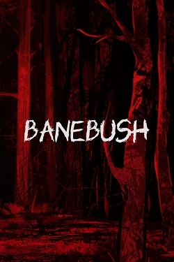 Banebush / Portable