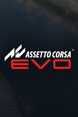 Assetto Corsa EVO / Portable