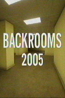 Backrooms - 2005 / Portable