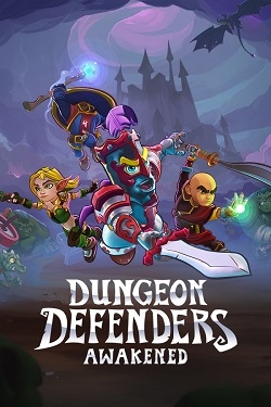 Dungeon Defenders Awakened / Portable