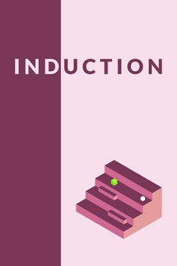 Induction / Portable