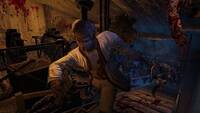 Afterfall: Тень прошлого / Afterfall: Insanity