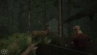 MAZEBOUND: Hunt, Gather, Run
