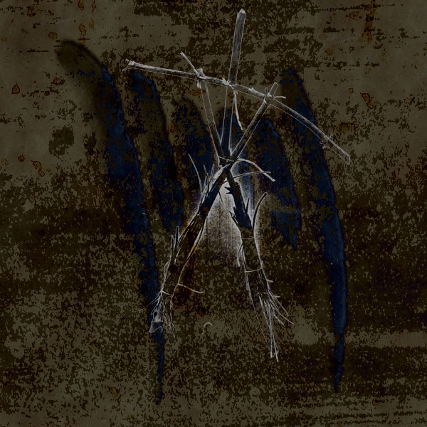 Blair Witch. Антология / Repack